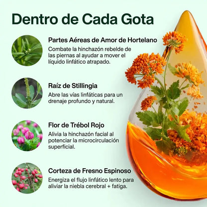 Drenaje Linfático Vitalabs®  - Gotas Naturales Maya Verra 100ml